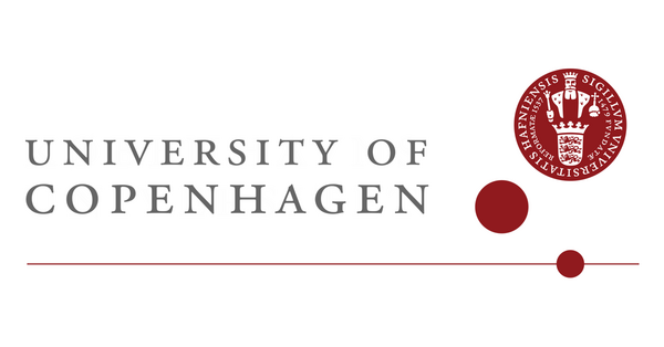 IT University of Copenhagen Scholarships