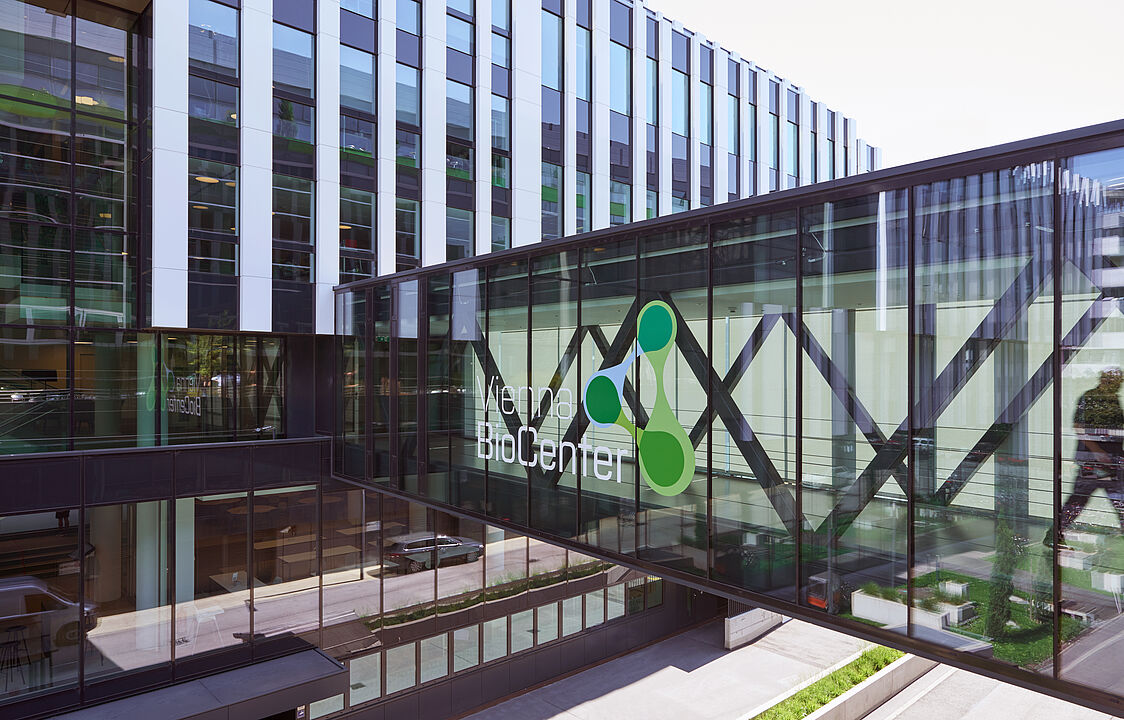 Vienna International Postdoctoral Program [YEAR]-[NEXTYEAR] (fully funded) Favicon