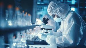 CNPq Scholarships (National Council for Scientific and Technological Development)  Favicon
