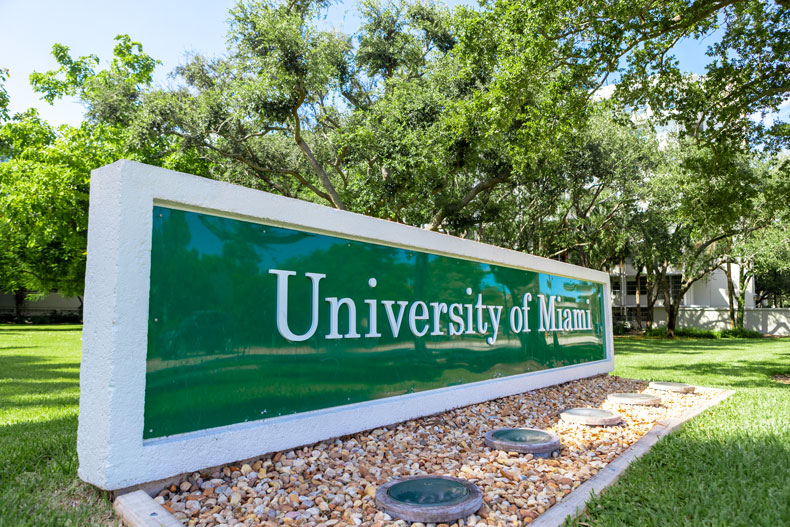 University of Miami Stamps Scholarship [YEAR]-[NEXTYEAR] USA Favicon
