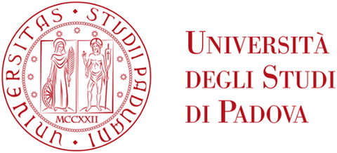 Padua International Excellence Scholarship