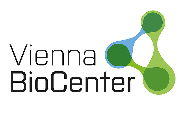 Vienna International Postdoctoral Program [YEAR]-[NEXTYEAR] (fully funded)