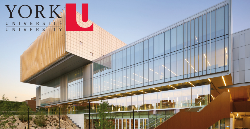 York University International Student Scholarships 2025-2026